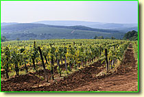 �摜���N���b�N����Ɗg�傳��܂��B