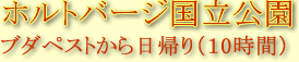 ホルトバージ国立公園
ブダペストから日帰りで１１時間