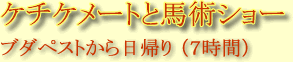 ケチケメートと馬術ショー
ブダペストから日帰り （７時間）